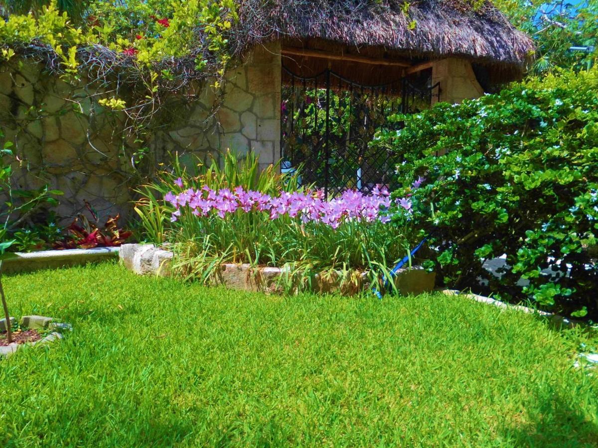 アクマル Casa Gatosアパートホテル エクステリア 写真